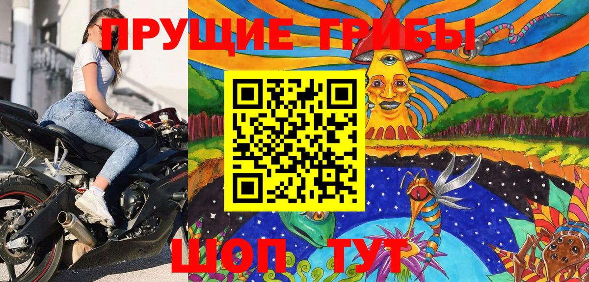 Псилоцибиновые грибы мицелий  Псилоцибиновые грибы ЛСД  Вход с VPN  Корсаков 